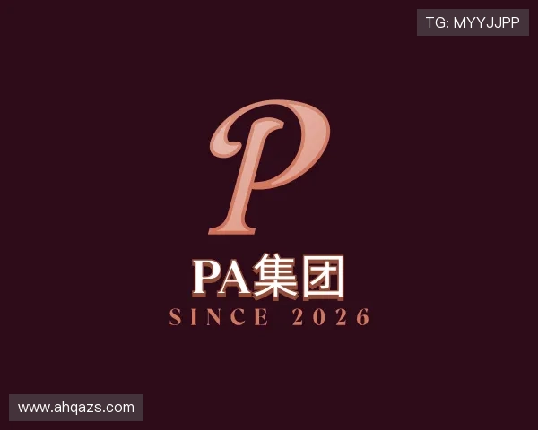 发现PA集团
